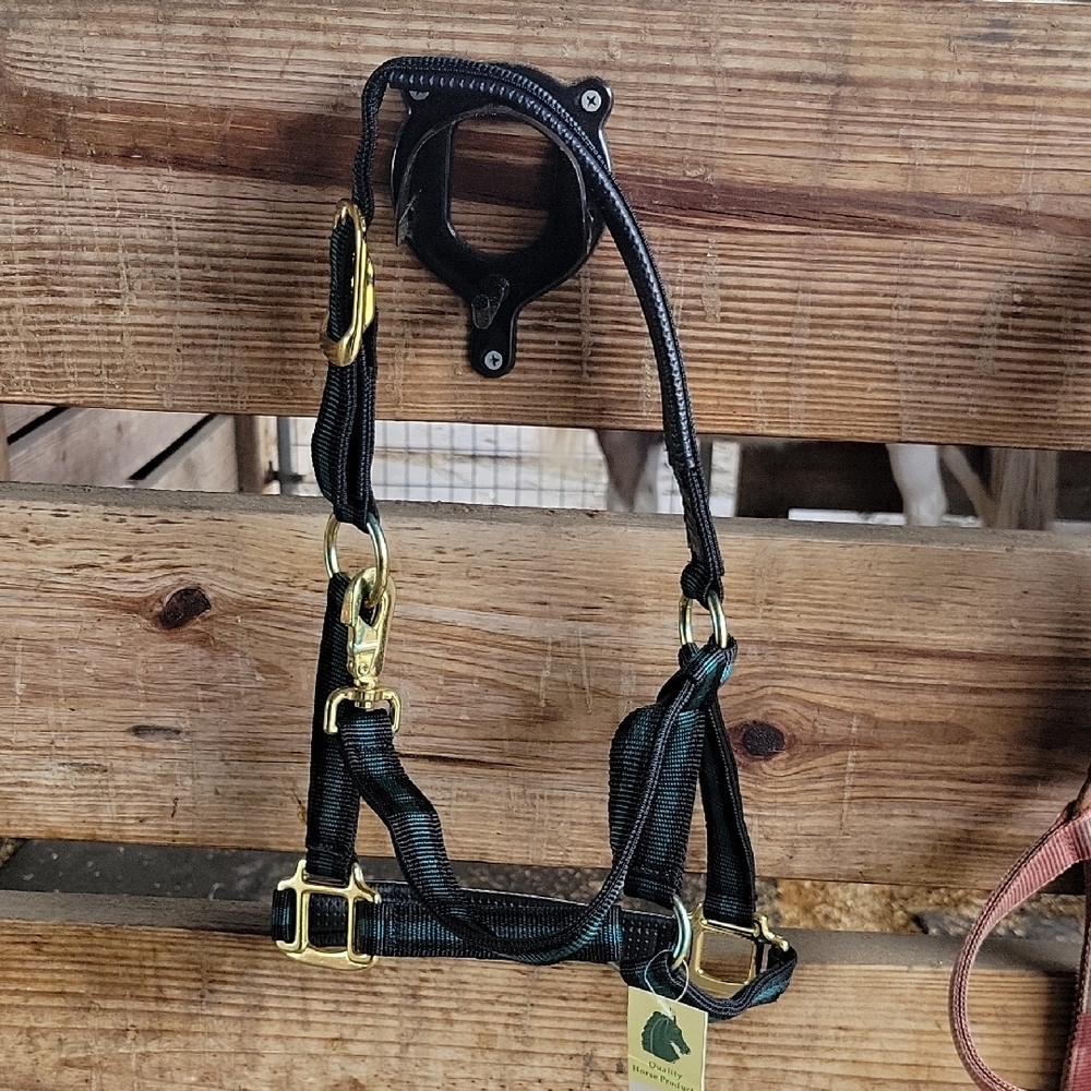 Black and Green Pony Halter